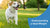 Understanding Your Dog's Ideal Weight: A Comprehensive Guide