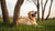 Understanding Your Dog's Panting: Is My Dog Panting Too Much After Exercise?