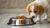What Age Can Puppies Eat Dog Food? A Comprehensive Guide for Pet Owners