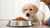 What Age Can Puppies Eat Soft Dog Food? A Guide for New Puppy Parents