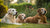 What Age Do Dogs Need Senior Food? Understanding When to Make the Switch