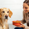 What Age Do Dogs Start Eating Adult Food