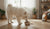 What Age Do You Start Giving Your Dog Adult Food? A Comprehensive Guide for Pet Parents-141416923375
