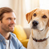 What Age Do You Stop Feeding Your Dog Puppy Food? A Comprehensive Guide for Pet Owners