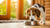What Age Do You Stop Giving Your Dog Puppy Food?
