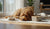 What Age for Adult Dog Food: Understanding the Right Time to Transition Your Puppy-141416005871