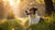 What Age Should a Dog Stop Eating Puppy Food? Your Comprehensive Guide
