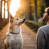 What Age Should I Stop Feeding My Dog Puppy Food? A Comprehensive Guide