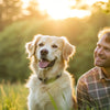What Age Should My Dog Stop Eating Puppy Food? A Comprehensive Guide