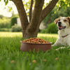 What Age Should You Stop Feeding Your Dog Puppy Food? Understanding the Best Time for Your Pet's Diet Transition