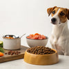 What Are 3 Foods Dogs Should Not Eat