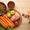 What Are Food Dogs Can Eat? A Comprehensive Guide for Pet Owners