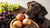 What Are Foods Dogs Can't Eat? A Comprehensive Guide for Pet Owners