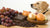 What Are Foods Dogs Should Never Eat? A Comprehensive Guide to Keep Your Pooch Safe