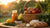 What Are Foods That Dogs Can't Eat: A Comprehensive Guide for Pet Owners