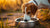 What Are the Best Water Bowls for Dogs? A Comprehensive Guide for Pet Owners-140795314415
