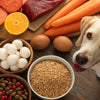 What Are the Foods Dogs Can't Eat? A Comprehensive Guide for Pet Owners