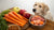What Are the Foods That Dogs Can Eat: A Comprehensive Guide for Pet Owners-140295045359