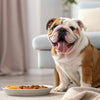 What Are the Healthiest Dog Treats? A Comprehensive Guide for Pet Parents