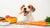 What Can Dogs Eat: A Comprehensive Human Food List for Our Furry Friends