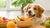 What Can Dogs Eat as Human Food? A Comprehensive Guide for Pet Owners-140409372911