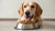 What Can Dogs Eat From Human Food: A Comprehensive Guide for Pet Owners