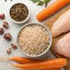 What Can Dogs Eat if I Have No Dog Food: Safe Emergency Meals