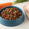 What Can Dogs Eat If They Run Out Of Food?