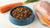What Can Dogs Eat If They Run Out of Food? A Comprehensive Guide for Pet Owners