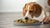 What Can Dogs Eat If You Don’t Have Dog Food? A Comprehensive Guide for Pet Parents-140405473519