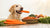 What Can Dogs Eat Other Than Dog Food? A Comprehensive Guide