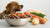 What Can Dogs Not Eat of Human Food: A Comprehensive Guide for Pet Owners