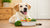 What Can Help a Dog Gain Weight: A Comprehensive Guide for Pet Owners