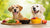 What Can Human Food Can Dogs Eat? A Guide for Loving Pet Owners