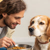 What Can I Do to Help My Dog Gain Weight: A Comprehensive Guide for Concerned Pet Owners