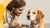 What Can I Do to Help My Dog Gain Weight: A Comprehensive Guide for Concerned Pet Owners