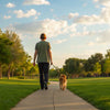What Can I Do to Help My Dog Lose Weight? A Comprehensive Guide for Pet Owners