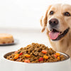 What Can I Feed My Dog for Weight Gain? A Comprehensive Guide for Pet Owners