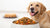 What Can I Feed My Dog for Weight Gain? A Comprehensive Guide for Pet Owners