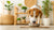 What Can I Feed My Dog to Gain Weight Fast? A Comprehensive Guide for Concerned Pet Owners