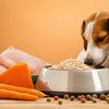What Can I Feed My Dog to Put on Weight: A Comprehensive Guide
