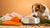 What Can I Feed My Dog to Put on Weight: A Comprehensive Guide