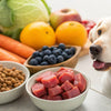 What Can I Give My Dog to Pick Up Weight? A Comprehensive Guide