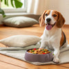 What Can I Give My Dog to Put Weight On? A Comprehensive Guide for Pet Owners
