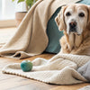 What Can I Give My Senior Dog to Gain Weight? A Comprehensive Guide