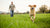 What Can Make a Dog Lose Weight Fast: A Comprehensive Guide for Pet Owners