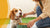 What Can My Dog Eat of Human Food? A Comprehensive Guide for Responsible Dog Owners
