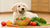 What Can Puppies Eat Instead of Dog Food? A Comprehensive Guide for Pet Owners-140294127855
