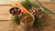 What Canned Foods Can Dogs Eat? A Comprehensive Guide for Pet Owners-140408160495