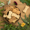 What Cookies Can Dogs Eat: A Guide to Safe Snacking